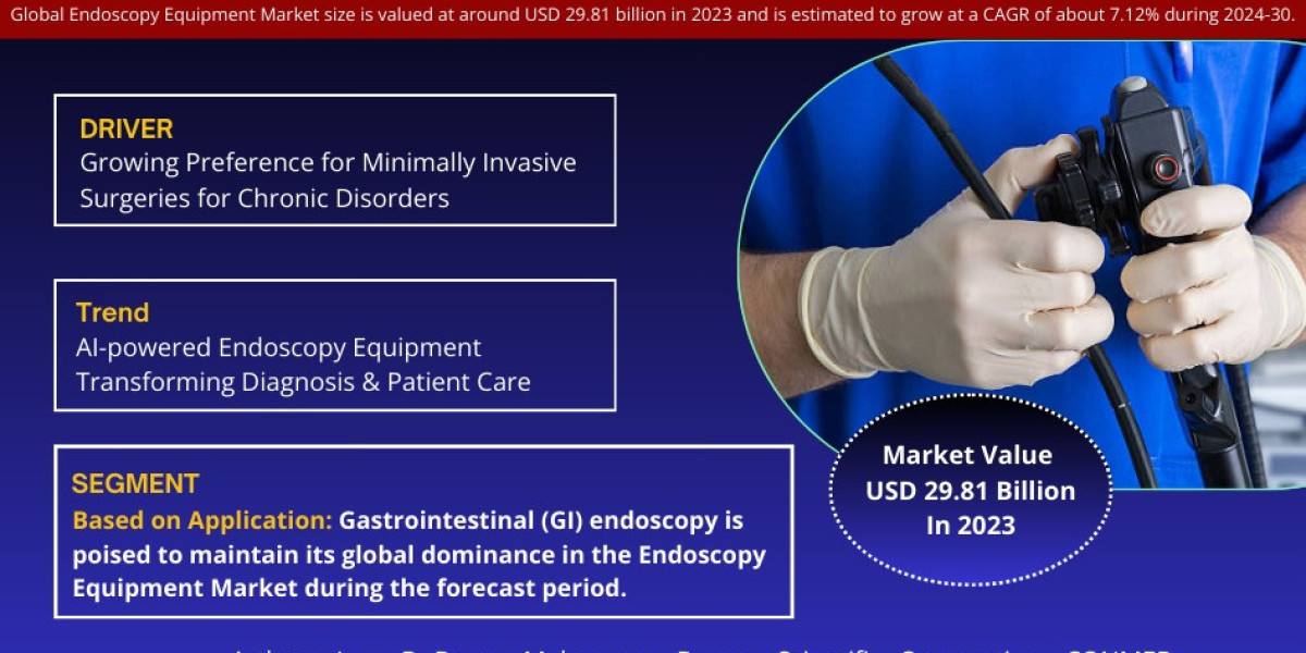 Endoscopy Equipment Market Bifurcations, Drivers, Restraints, And Trends for 2024-2030