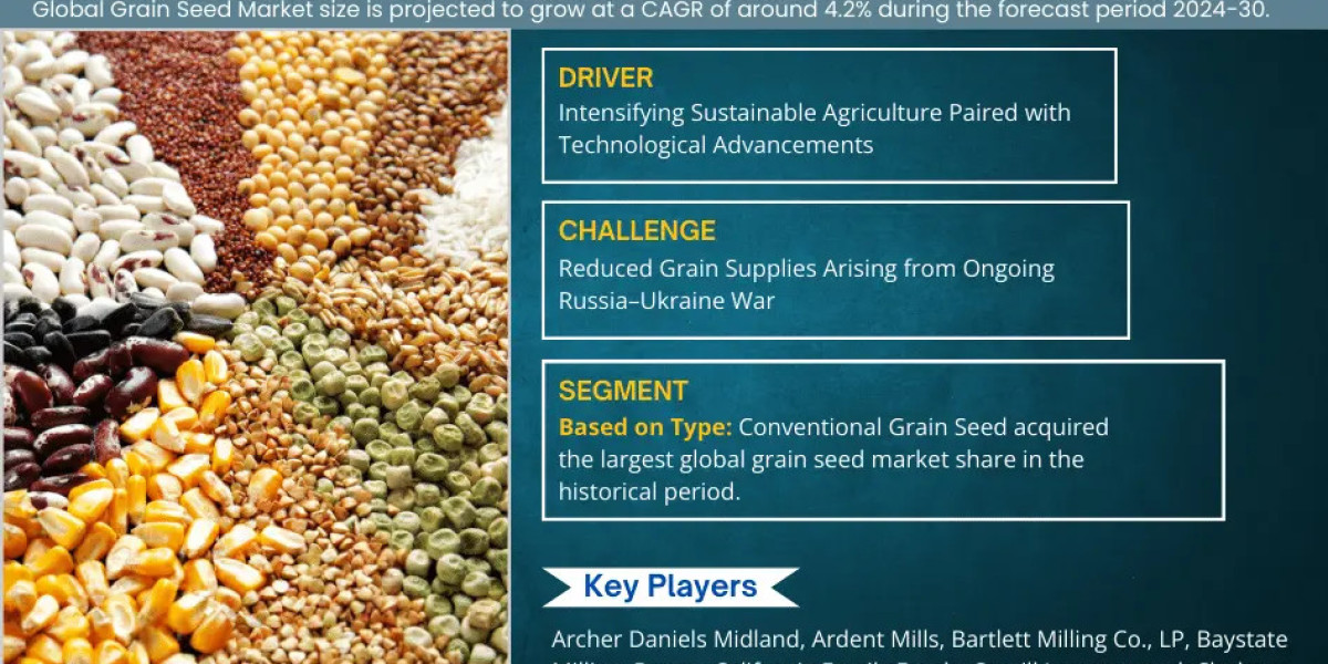 Exploring Grain Seed Market: Rising Trends, Opportunities and Challenges